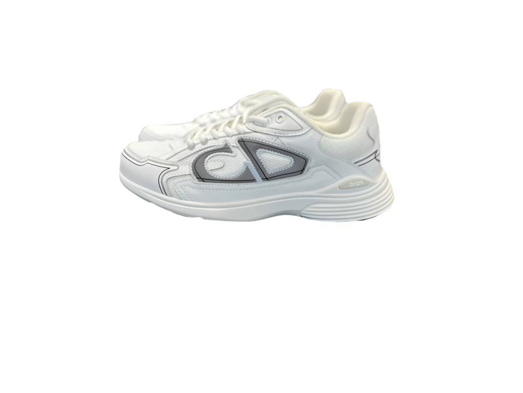 Dior B30 Sneaker