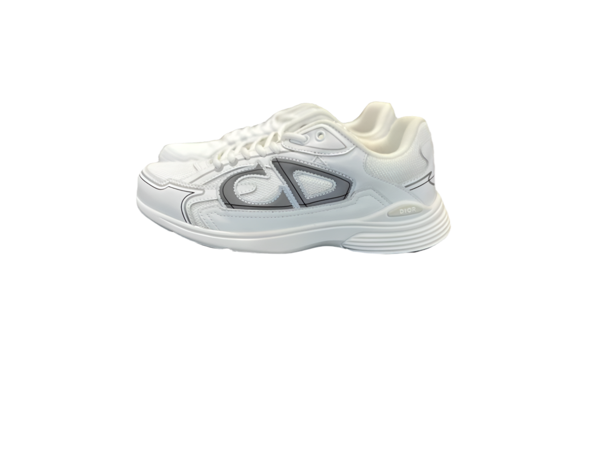 Dior B30 Sneaker